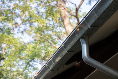 Gutter system with leaf guard